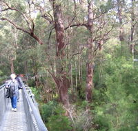 Walpole YHA - Sunshine Coast Tourism