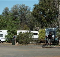 Evening Star Tourist Park - Sunshine Coast Tourism