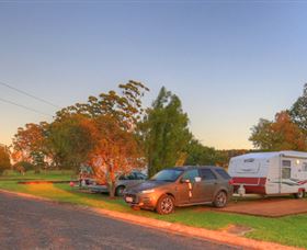 Yarraman Caravan Park & Cabins - Sunshine Coast Tourism 1