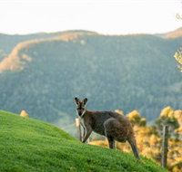 Spring Creek Mountain Cafe and Cottages - Sunshine Coast Tourism