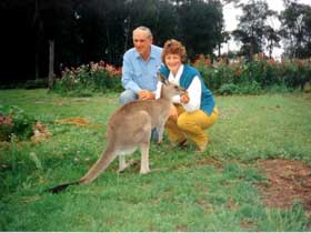 Bimbimbi And Little Hollow Farm Stay - Holiday Sunshine Coast 0