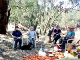 Bimbimbi And Little Hollow Farm Stay - Holiday Sunshine Coast 1