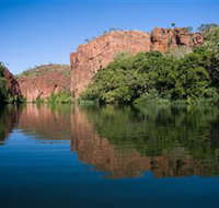 Adels Grove Camping Ground - Sunshine Coast Tourism