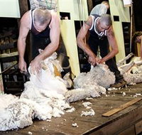 The Woolshed at Jondaryan Caravan and Camping - Sunshine Coast Tourism