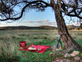 Alure Boutique Villas - Sunshine Coast Tourism 2