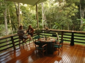 Cedar Park Rainforest Resort - Sunshine Coast Tourism 3