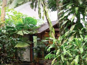 Heritage Lodge And Spa - In The Daintree - Holiday Sunshine Coast 0