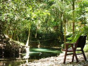 Daintree Wilderness Lodge - Holiday Sunshine Coast 1