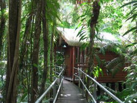 Daintree Wilderness Lodge - Holiday Sunshine Coast 2