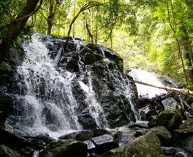 Bellthorpe Stays - Nature's Retreat - Sunshine Coast Tourism 1