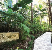 Songbirds Rainforest Retreat - Sunshine Coast Tourism