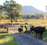 Tommerups Dairy Farmstay - Holiday Sunshine Coast