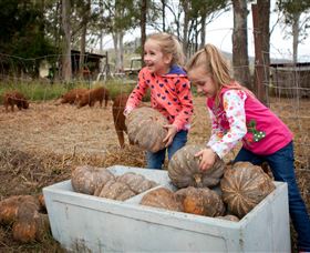 Tommerups Dairy Farmstay - Sunshine Coast Tourism 1
