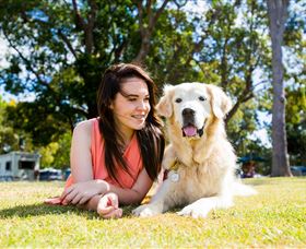 Jacobs Well Tourist Park - Sunshine Coast Tourism 0