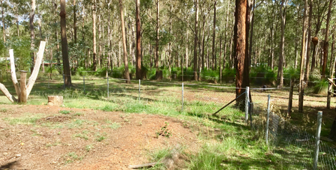 Edelweiss B & B - Sunshine Coast Tourism 5