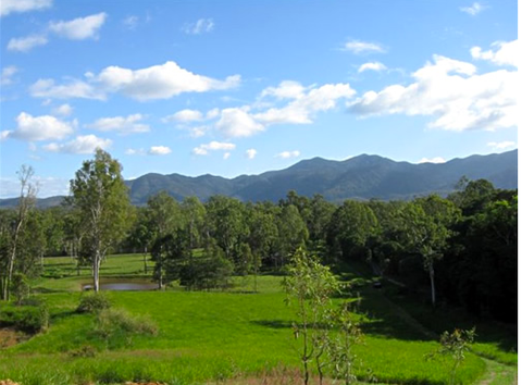 Highlander Tavern, Restaurant & Bar - Sunshine Coast Tourism 12
