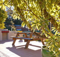 Best Western Alpine Motor Inn - Sunshine Coast Tourism