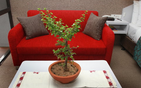 BEST WESTERN Sea Spray Motel - Sunshine Coast Tourism 14