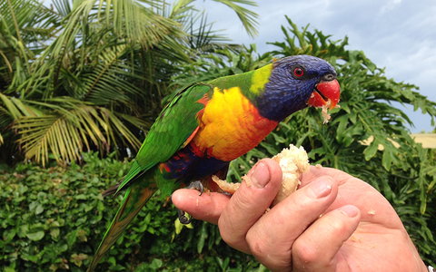 BEST WESTERN Sea Spray Motel - Sunshine Coast Tourism 18