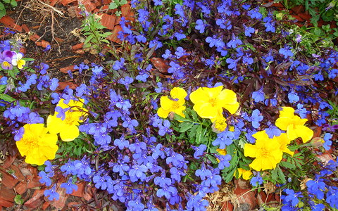 BEST WESTERN Sea Spray Motel - Sunshine Coast Tourism 25