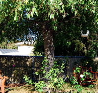 BEST WESTERN Wanderlight Motor Inn - Holiday Sunshine Coast