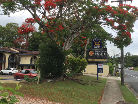 Poinciana Motel - Sunshine Coast Tourism 4