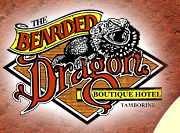 The Bearded Dragon Hotel - Holiday Sunshine Coast 0