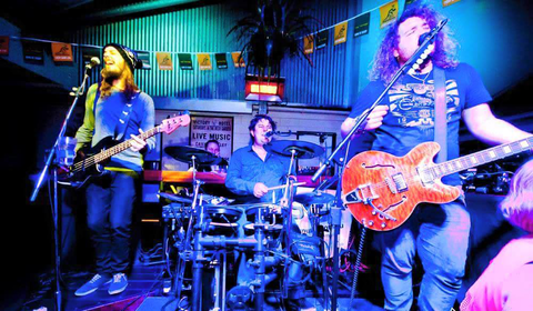 The Bearded Dragon Hotel - Holiday Sunshine Coast 1