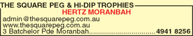 The Square Peg & Hi-Dip Trophies - Sunshine Coast Tourism 9