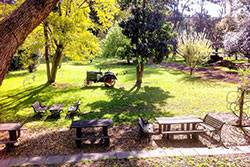 Settlers Arms Inn - Sunshine Coast Tourism 18