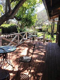 Settlers Arms Inn - Sunshine Coast Tourism 20