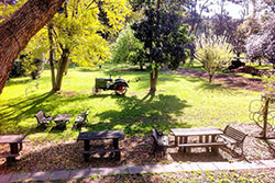 Settlers Arms Inn - Sunshine Coast Tourism 13