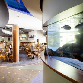 Pub Mooloolaba - Sunshine Coast Tourism 14