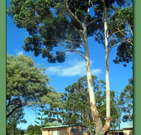 Kalgan River Chalets and Caravan Park - Sunshine Coast Tourism
