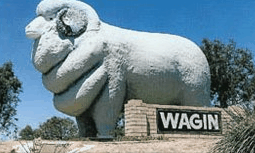 Wagin Motel - Sunshine Coast Tourism 0