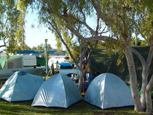 Ningaloo Caravan And Holiday Resort - Sunshine Coast Tourism 2