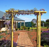 Lavendale Farmstay and Cottages - Holiday Sunshine Coast