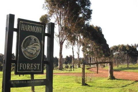 Harmony Forest - Sunshine Coast Tourism 0