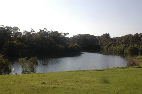 Harmony Forest - Sunshine Coast Tourism 1