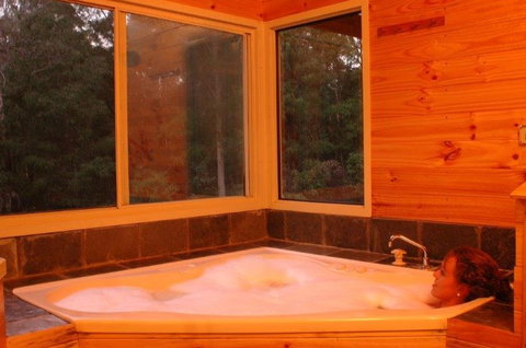 Harmony Forest - Sunshine Coast Tourism 3