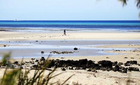 Halcyon Bay - Sunshine Coast Tourism 5