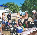 Shark Bay Cottages - Sunshine Coast Tourism