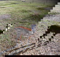 Kellraine Holiday Units - Sunshine Coast Tourism