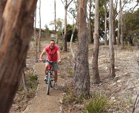 Tranquil Point Retreat - Sunshine Coast Tourism 1