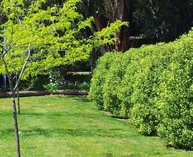 White Beach Tourist Park - Holiday Sunshine Coast 3