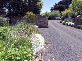 Farm Stays Wollombi NSW Sunshine Coast Tourism