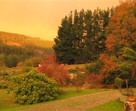 RED ROOSTER HOST FARM - Holiday Sunshine Coast 3