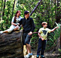 Tahune Airwalk Lodge - Sunshine Coast Tourism