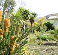 Yooringa Garden Cottage - Sunshine Coast Tourism