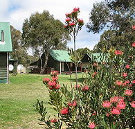 Derwent Bridge Chalets  Studios - Sunshine Coast Tourism